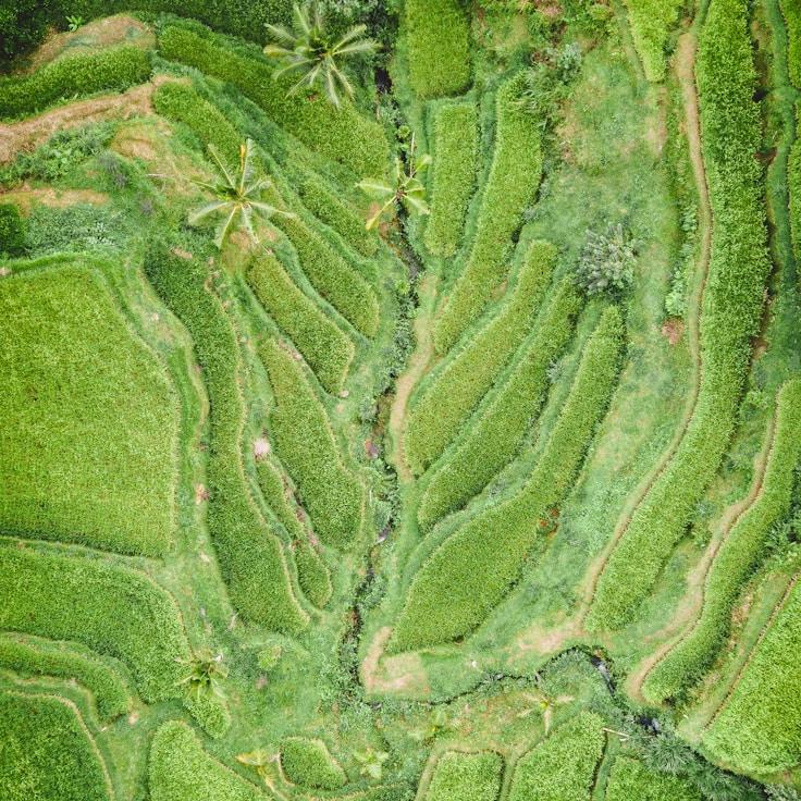 Outdoor terrace seating suitable for families in Berlin